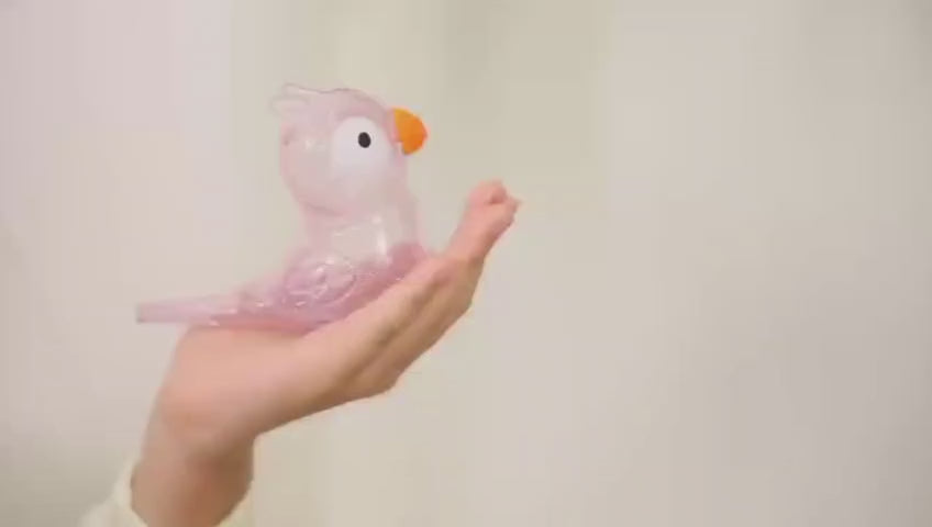 Water Bird Whistle Toy – Musical Fun with Every Drop!